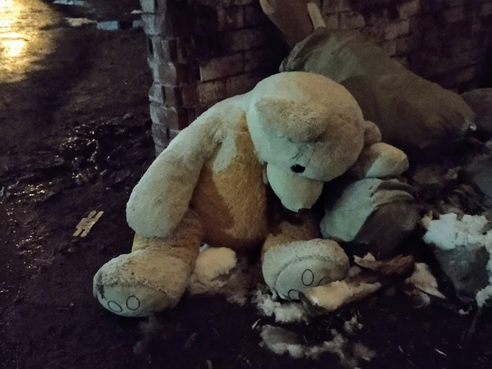 Despondent toys sleep - My, All ashes, Despondency, Teddy bear, Trash can
