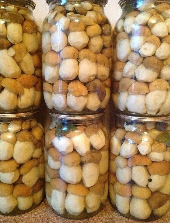 Miracle mushrooms! - Mushrooms, Canning, Pickles, The photo