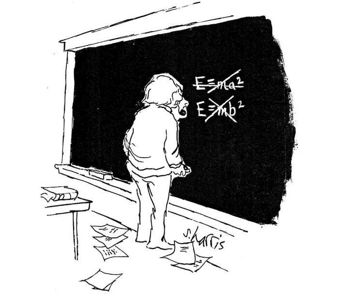 Not everything works out on the first try - Scientific humor, Albert Einstein, Images