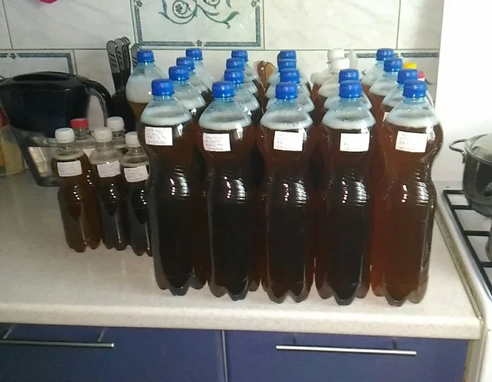 How I brewed my first lager - Zhigulevskoe! - My, Longpost, Beer, Brewing, Craft beer, Zhigulevskoe beer, Brewery