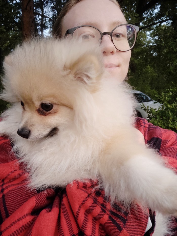 ��� � ����� ������ �� 120%