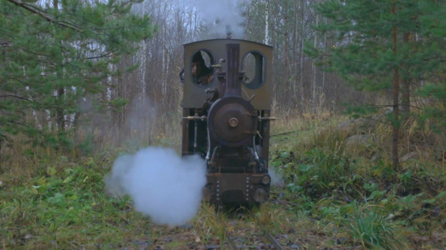 DIY railway. - Railway, Narrow gauge, Leningrad region, Longpost, Locomotive, Video