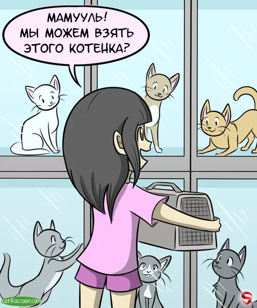 Legionchik - Comics, Kat swenski, GIF with background, cat, Translated by myself, GIF, Longpost