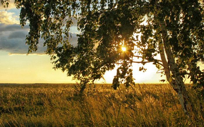 Опрос. Патриотизм это любовь к Родине - или ненависть к чужим?