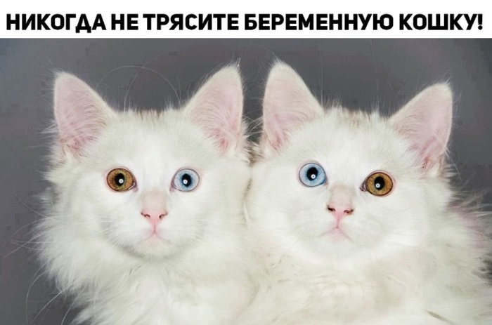 1572553413186869990.jpg