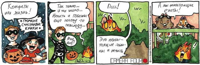 Котейкины Новости от 31.10.2019 - Моё, Комиксы, Котейкины новости (комикс), Кот, Перевод