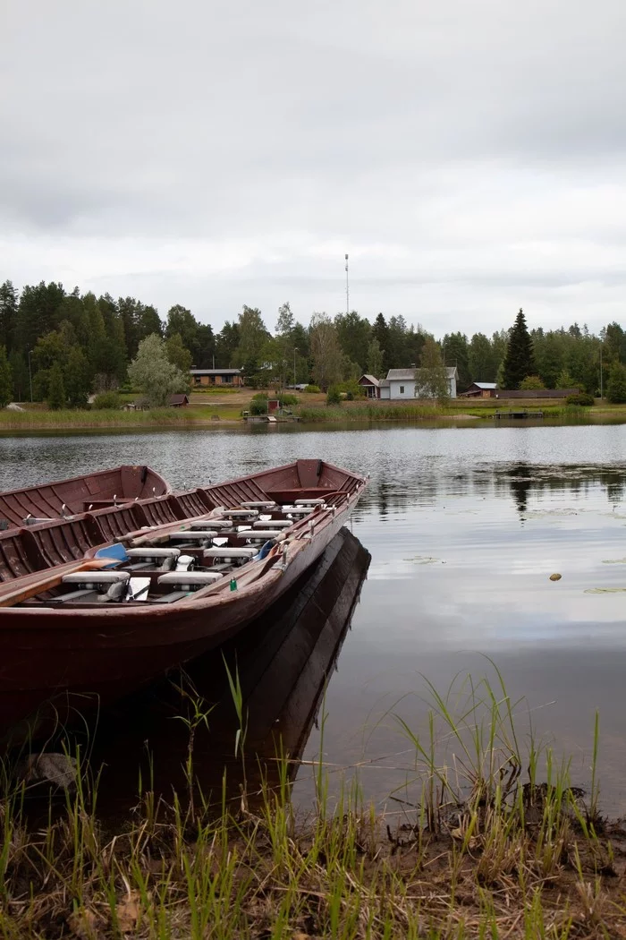 I'm experimenting with photo processing. Before and after. - My, The photo, Lightroom, Canon, It Was-It Was, Nature, Finland, Longpost