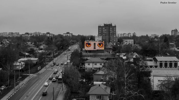 Owl - Nizhny Novgorod, Street art, The street, Vaneeva