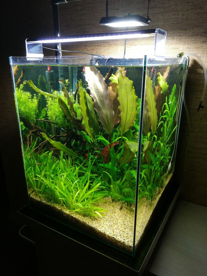 Автор Андрей Гашев.