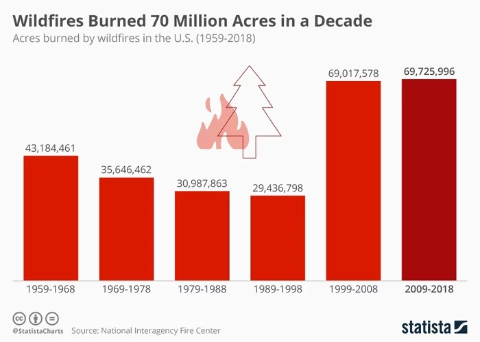 Wildfires have destroyed 70 million acres in a decade in the US - USA, Forest fires, Statistics, Decade
