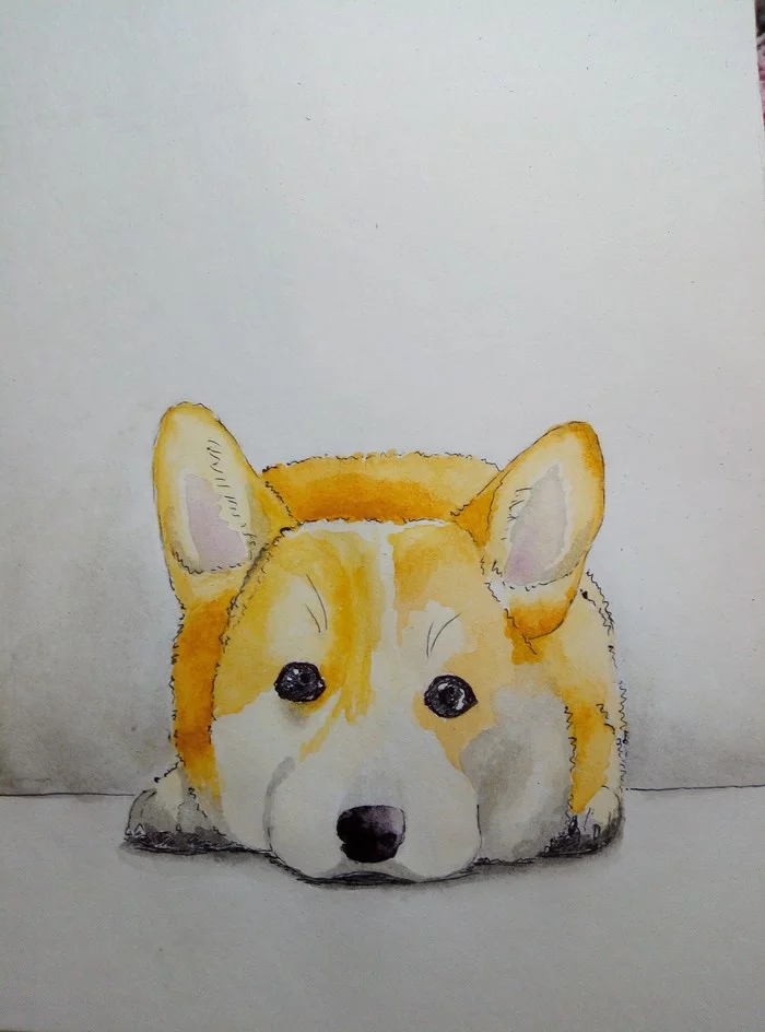 The owner went to work - My, Drawing, Watercolor, Sketch, Dog, Corgi