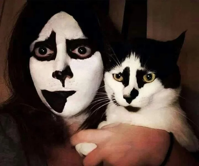 Immeowrtal - cat, Black metal, Makeup, Halloween