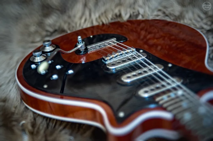 Red Special - Длиннопост, Брайан Мэй, Queen, Своими руками, Электрогитара, Гитара, Моё