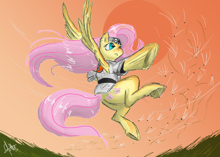 - My Little Pony, Fluttershy, ,  
