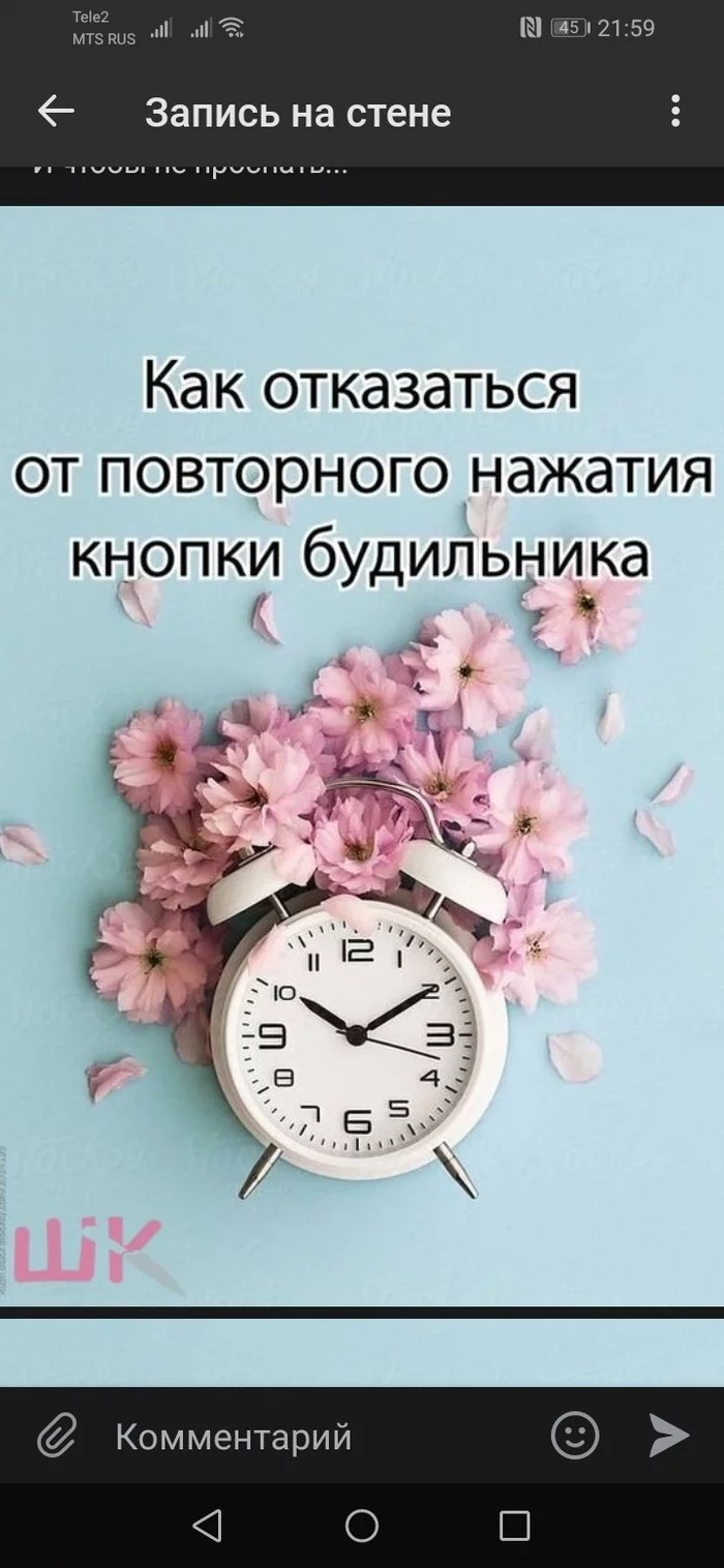 Про целебные действия гадалок - Будильник, Гадалка, Длиннопост, Комментарии, Скриншот