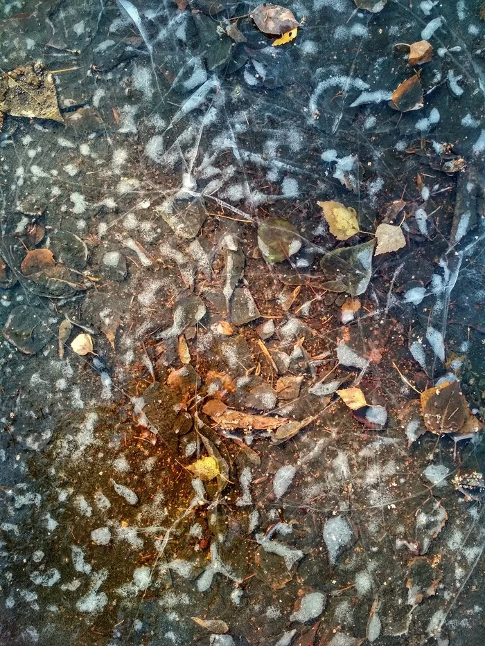 November - My, The photo, Mobile photography, Autumn, Puddle, Leaves, Ice, November