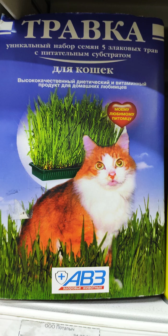 All the cats are happy about the green grass - My, Catomafia, Grass, Substances, The gods of marketing, cat