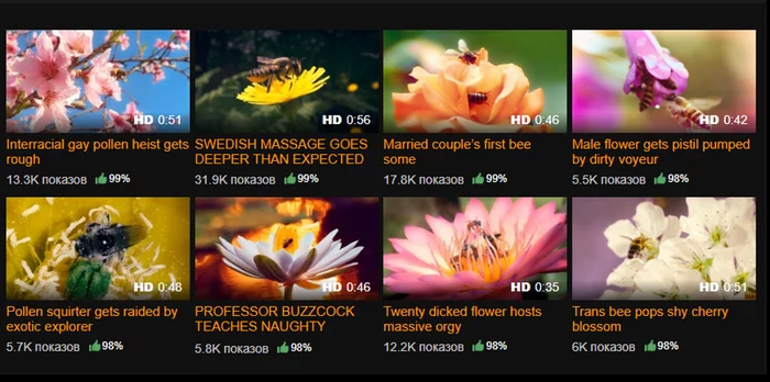 Как Pornhub и порно спасают пчел от вымирания - Моё, Пчелы, Бизнес, Видео, Длиннопост