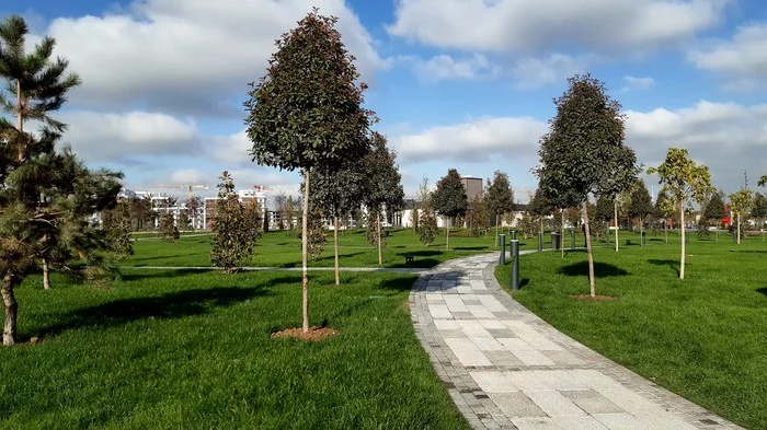 Walking around Tashkent #6. Walk on a November day. - My, Tashkent, Uzbekistan, Walk, The photo, The park, Longpost