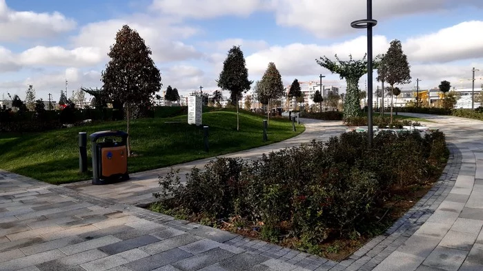 Walking around Tashkent #6. Walk on a November day. - My, Tashkent, Uzbekistan, Walk, The photo, The park, Longpost