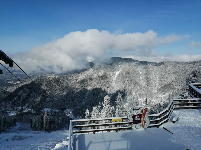 A piece of November in Altai - My, The nature of Russia, Altai Republic, Snow, Longpost