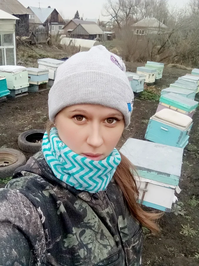 Winter has begun. Everyday life of a beekeeper - My, Bees, Beekeeping, Winter, Animals, Nature, Longpost