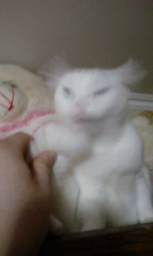   , , , 