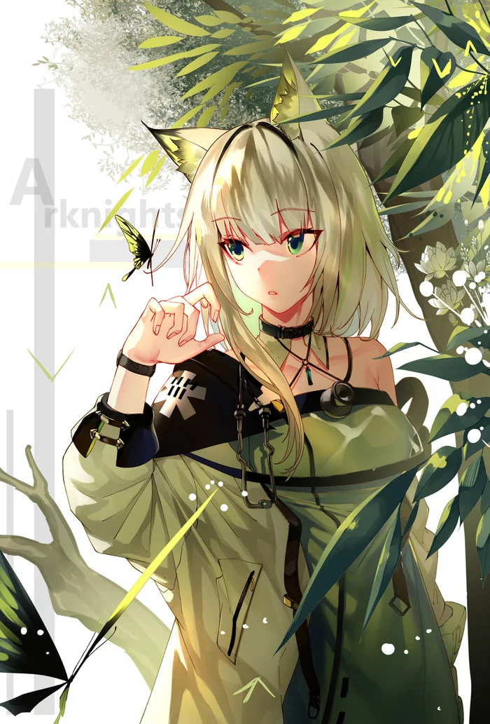 Kaltsit - Аниме, Арт, Anime Art, Arknights, Игры, Pixiv, Animal Ears