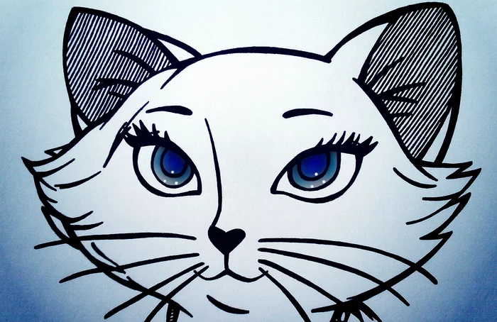 The AristoCats - My, cat, Duchess, Drawing, , Aristocrat Cats (cartoon)