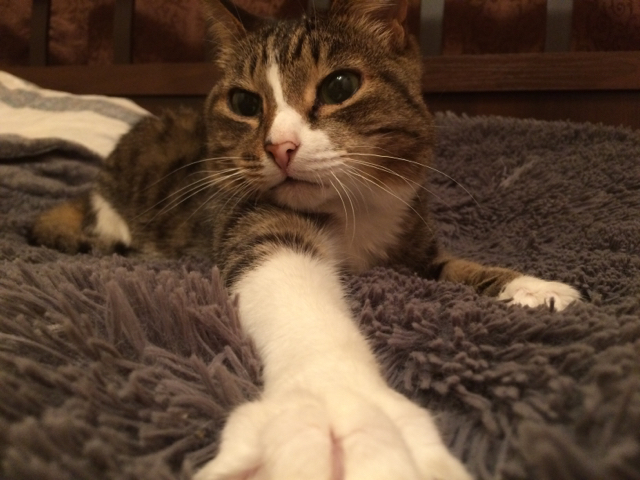 ���������������� ������