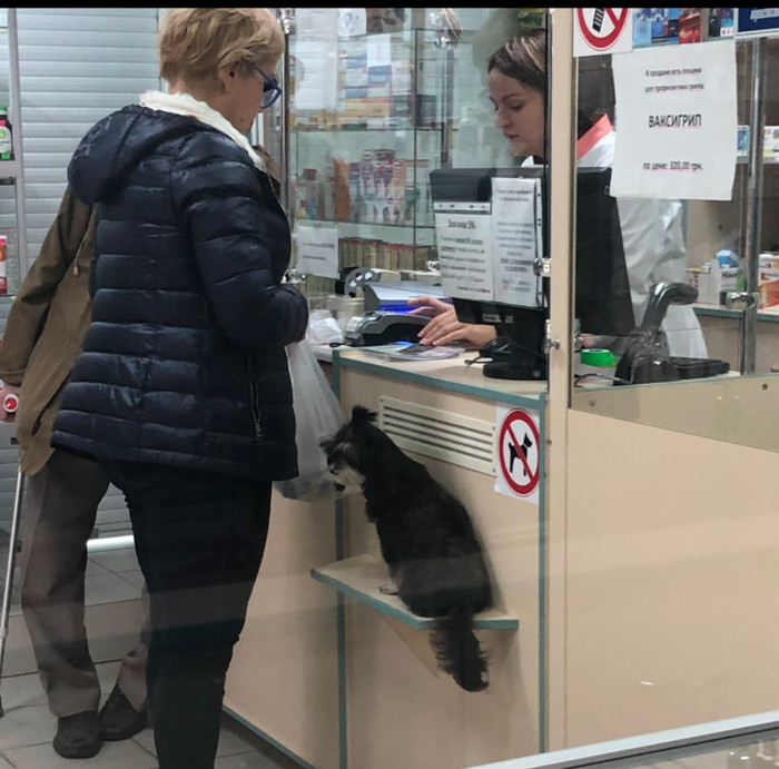 ������ ������� ������?