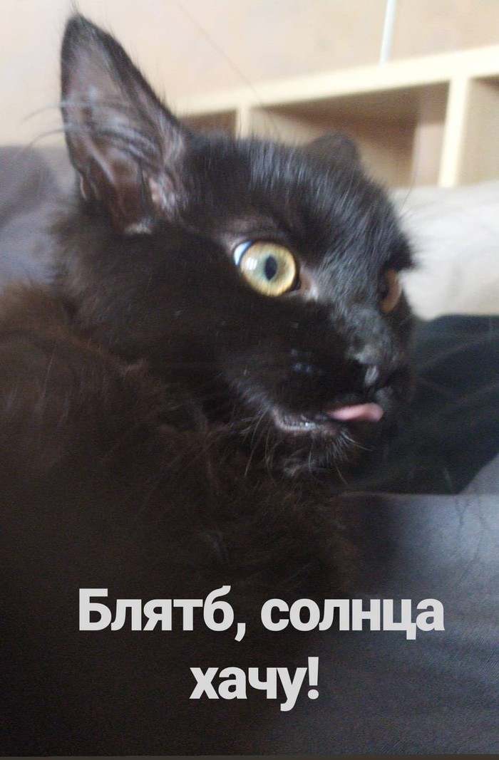 ����� ������ �� �����.