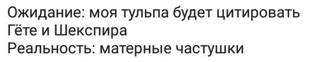 Тульпа как создать. Тульповодство. Как форсить тульпу. Как создать тульпу быстро и легко. Тульпа создание.