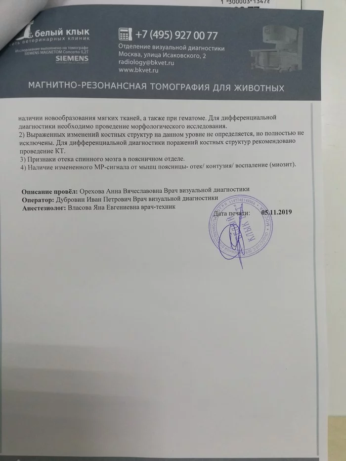 Нужен совет, помогите, нужно ли делать операцию котенку,???? - Моё, Лечение кошек, Ветеринария, Кот, Милота, Длиннопост