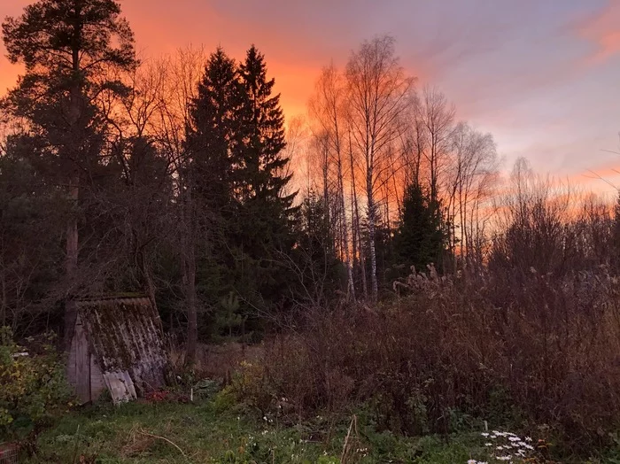 Sunset at the dacha - My, Sunset, Fire, No filters