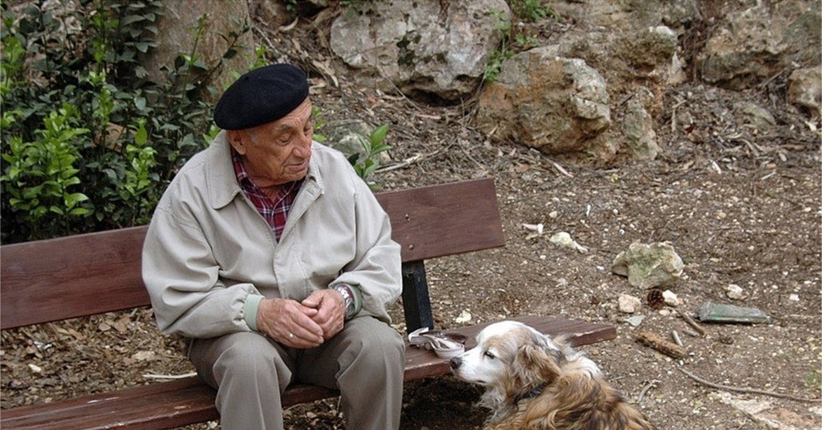Пожилые собаки возраст. Старик и собака. Дедушка с собакой. Старики и животные. Одинокий старик.