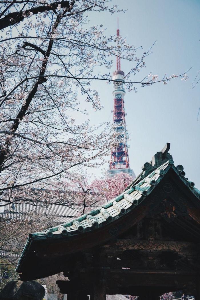 Tokyo tower - Япония, Факты, Путешествия, Фотография, Картинки, Азия, Длиннопост