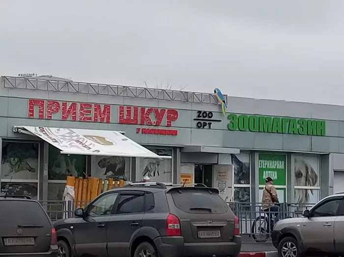 Convenient and close - Ivanovka, Reception of skins, Pet Shop
