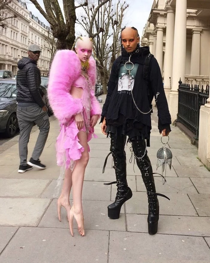 Fashion designers from Canada, Hannah Rose Dalton and Stephen Raj Baskaran - Oddities, In contact with, Longpost, Freaks, Fashion designers, Fecal Matter