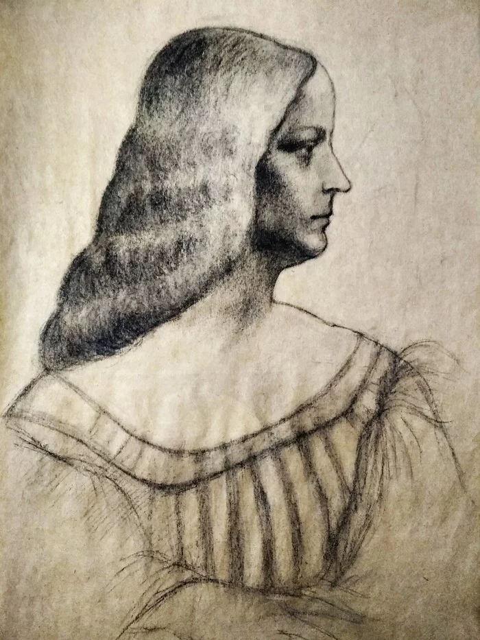 Charcoal drawing on craft. An attempt to copy a drawing by Leonardo da Vinci. Halfway through I realized that the copy would not work and began to do it my own way.. - My, Drawing, Renaissance, Renaissance, Leonardo da Vinci, Craft paper, Longpost, Portrait, Charcoal drawing