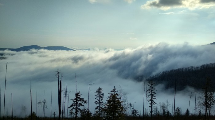 Nature of the Far East - My, Nature, Дальний Восток, Clouds, Fog