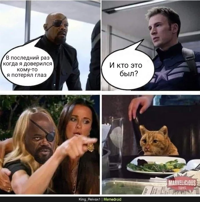 And who was it? - cat, Nick Fury, Two women yell at the cat, Flerken, goose