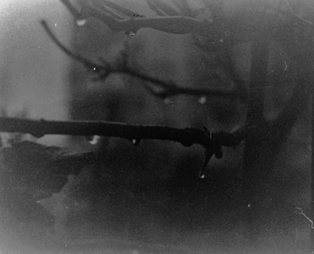 Svema 125 - My, Svema, The film did not die, Film, The photo, Black and white photo, Black and white, Longpost