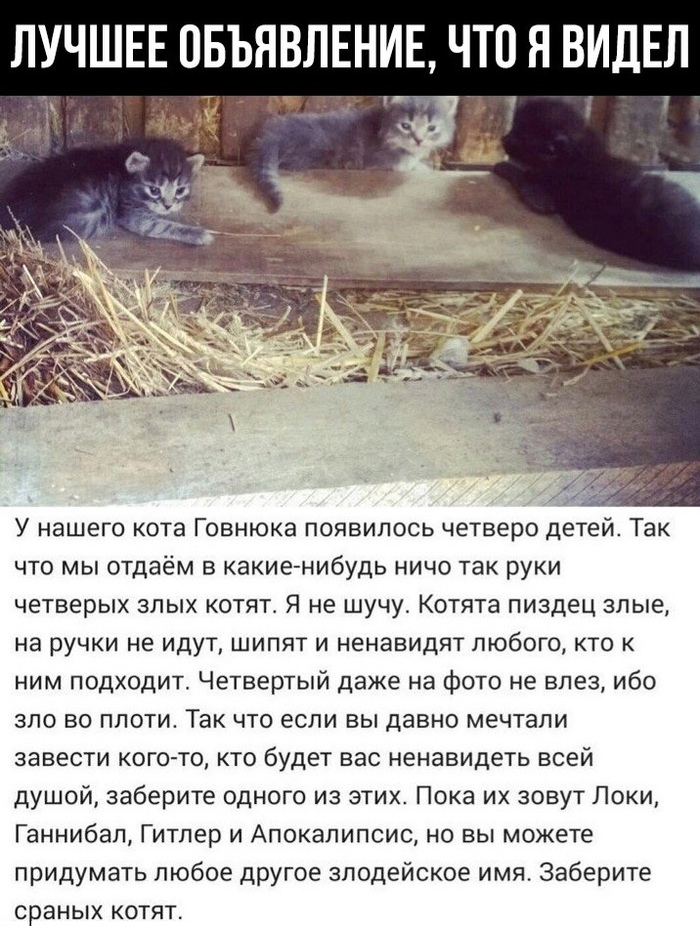 ���� ��� ����!