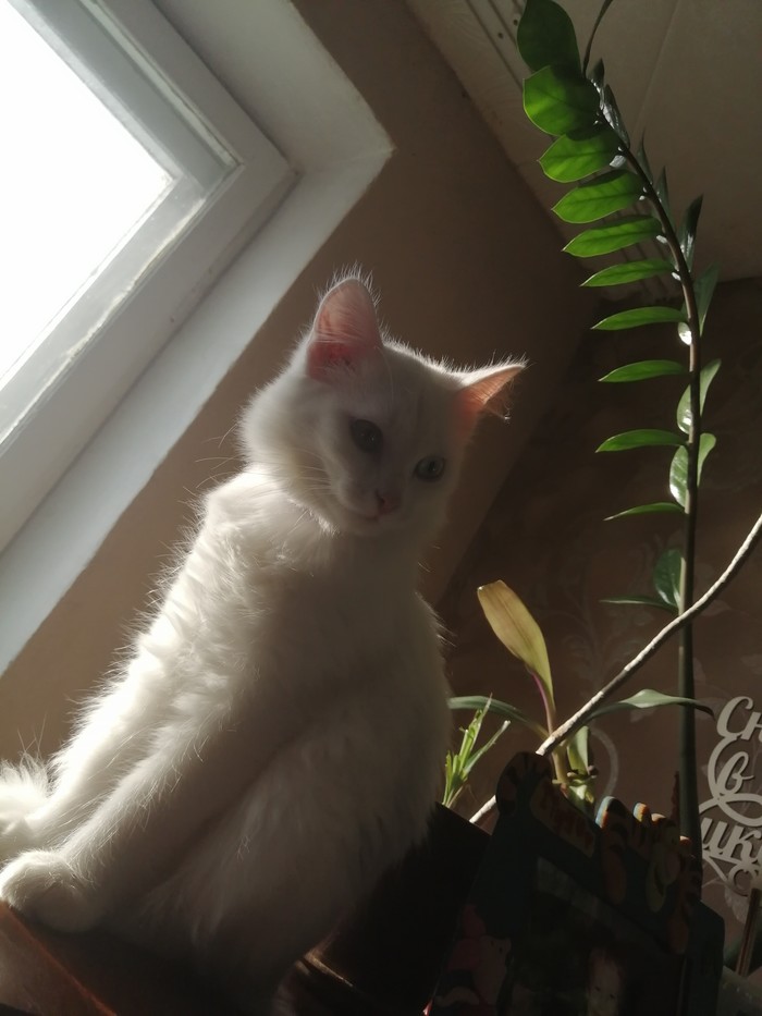 ����� ������ ����� ����� �������.