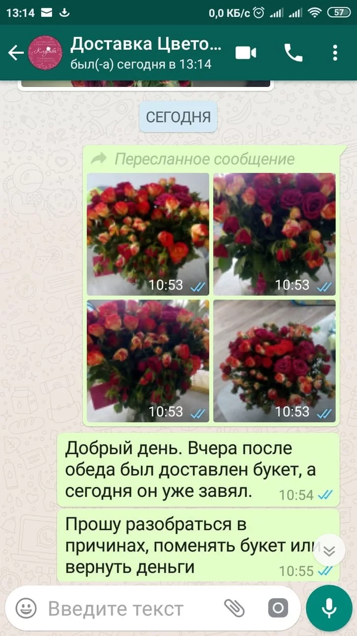 Flowers from delivery Klumba. Who's wrong? - My, Negative, Review, Tomsk, Flower bed, Flowers, Flower delivery, Longpost