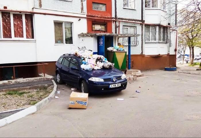 Scavengers are developing))) [Chisinau, Moldova] - Scavenger, Courtyard, Parking, Karma, Punishment, Garbage