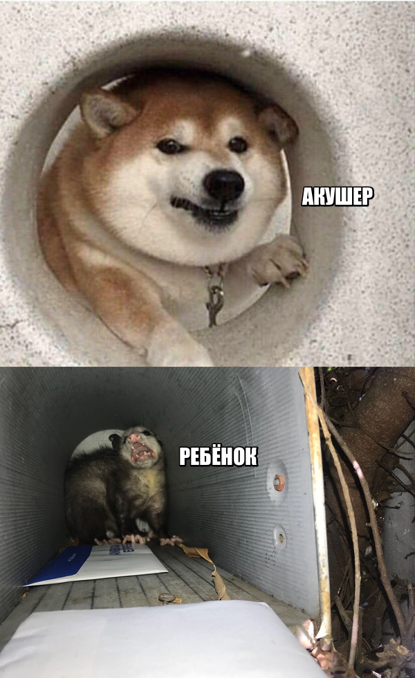     , ,   
