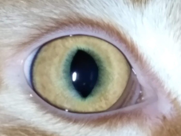 ����� ���� ����� ������?