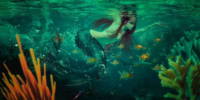 Mermaid - Art, Drawing, Mermaid, Evgeny Dvoretckiy